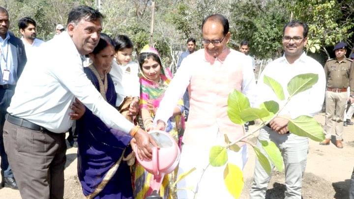 मुख्यमंत्री श्री चौहान ने नागरिकों के साथ किया पौध-रोपण